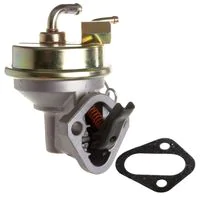 Delphi Gasoline Fuel Pump AMF0002