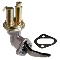 Delphi Gasoline Fuel Pump AMF0016