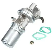 Delphi Gasoline Fuel Pump AMF0064