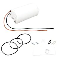 Delphi Gasoline Fuel Pump CFG0198