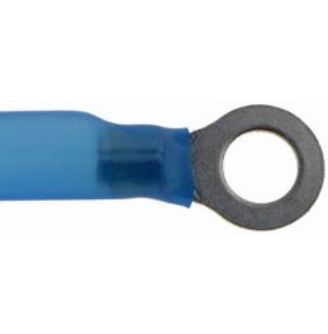 Shopforless597 Shopforless597