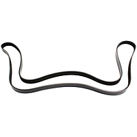 Dayco Drive Belt-Serpentine belt